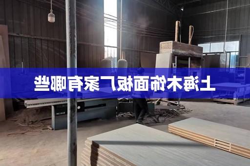 上海木饰面板厂家有哪些